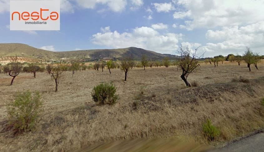Terreno en Lorca, Murcia en venta - Foto del edificio - Imagen 2 de 2