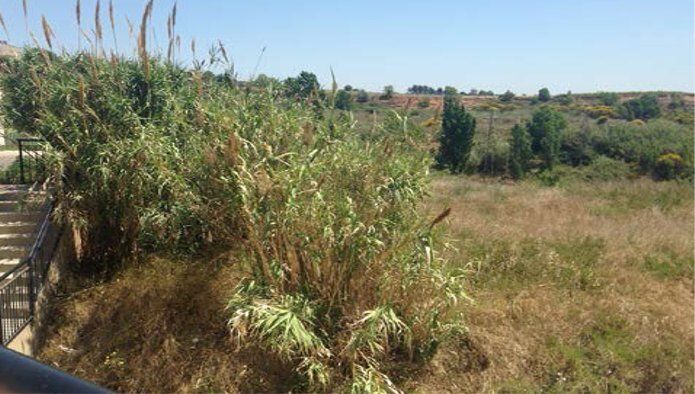 Terreno en Sant Sadurní d'Anoia, Barcelona en venta - Foto del edificio - Imagen 3 de 4