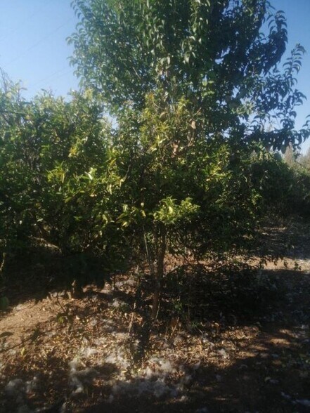 Terreno en Castelló de la Plana en venta - Foto del edificio - Imagen 2 de 3