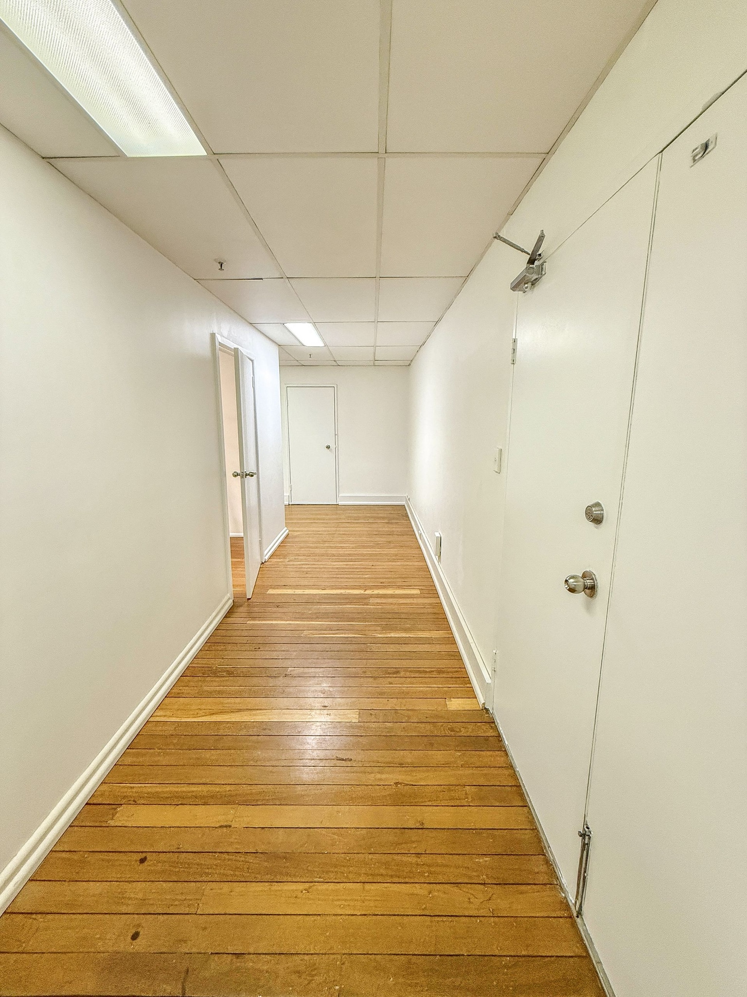 301 Castlereagh St, Haymarket en alquiler Foto del interior- Imagen 1 de 4