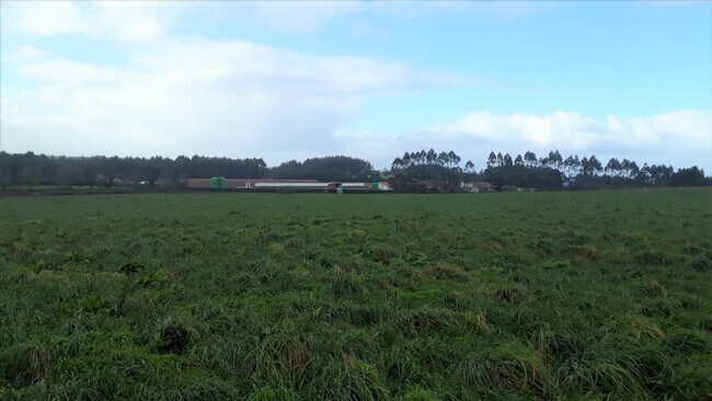 Más detalles de a Anta, Coirós - Terreno en venta