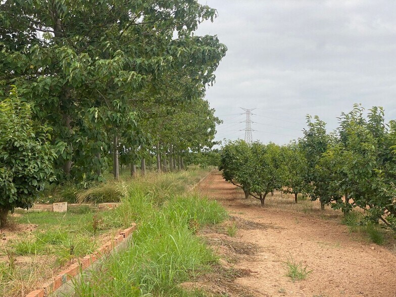 Terreno en València en venta - Foto del edificio - Imagen 3 de 10
