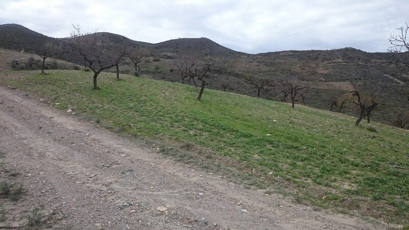 Terreno en Cantoria en venta - Foto del edificio - Imagen 2 de 3