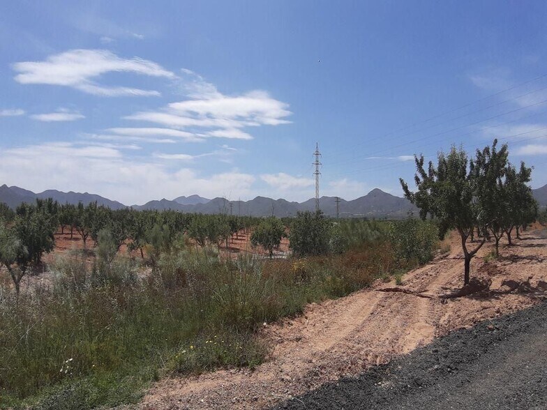 los Barrancos, 240, Fuente Álamo de Murcia, Murcia en venta - Vista aérea - Imagen 3 de 7