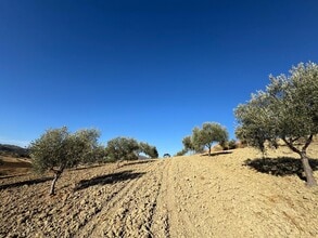Casabermeja, MAL - AÉREA  vista de mapa - Image1