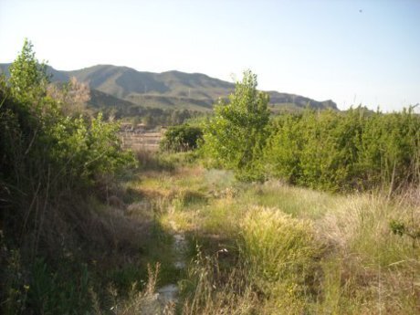 Terreno en Calasparra, Murcia en venta - Foto del edificio - Imagen 2 de 16