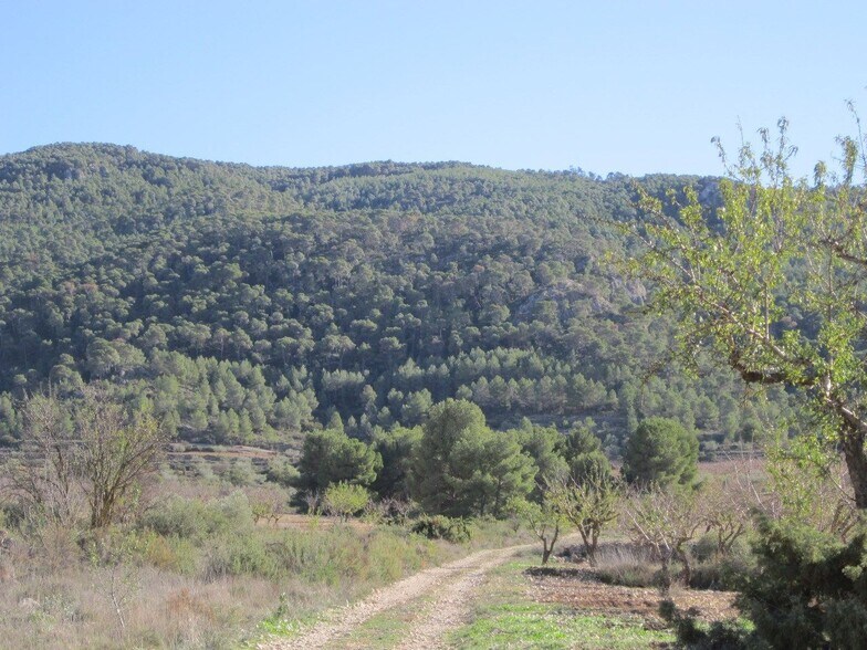 Terreno en Villena en venta - Foto del edificio - Imagen 3 de 8