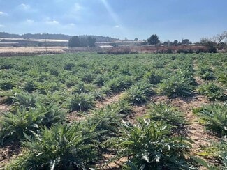 Más detalles de Polígono, Totana - Terreno en venta