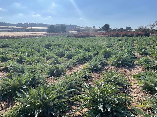 Más detalles de Polígono, Totana - Terreno en venta