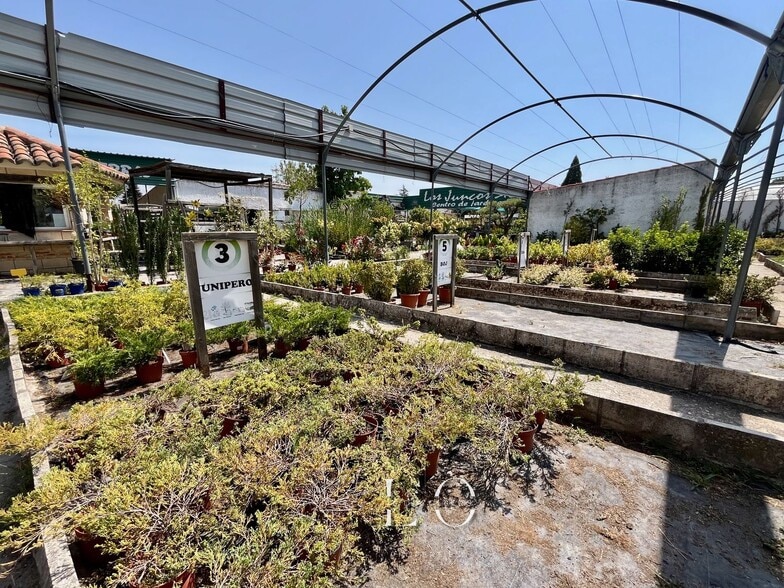 Local en El Boalo, Madrid en venta - Plano de la planta - Imagen 1 de 15