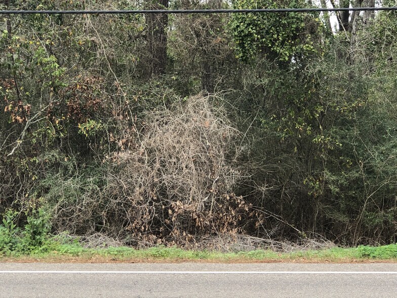 Hwy 190 and Hwy 22, Mandeville, LA en alquiler - Foto del edificio - Imagen 3 de 4