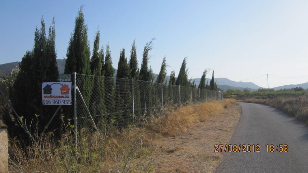 Terreno en MONÒVER, Alicante en venta Foto del edificio- Imagen 1 de 14