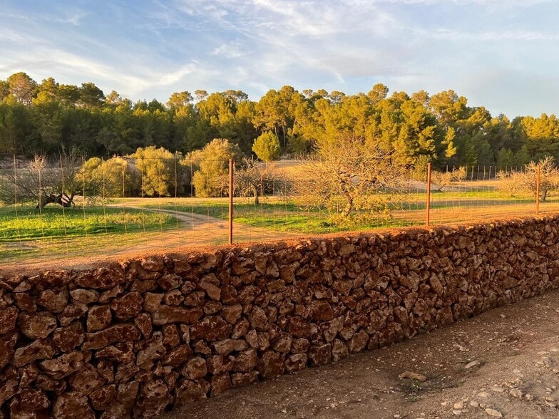 Terreno en Porreres, Islas Baleares en venta - Foto del edificio - Imagen 2 de 37