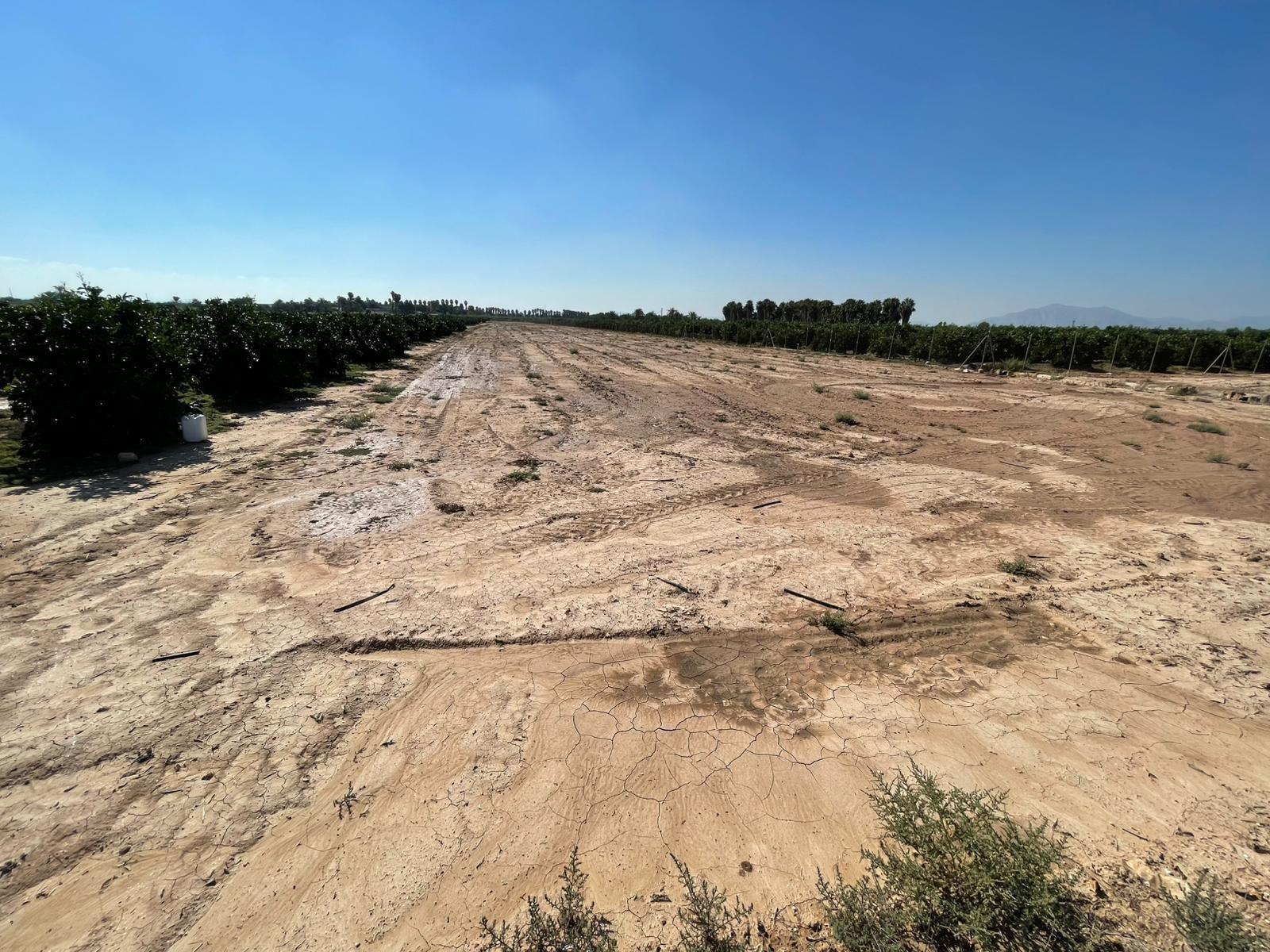 Partida el Cachap, 88, Crevillent, Alicante en venta Plano del sitio- Imagen 1 de 4