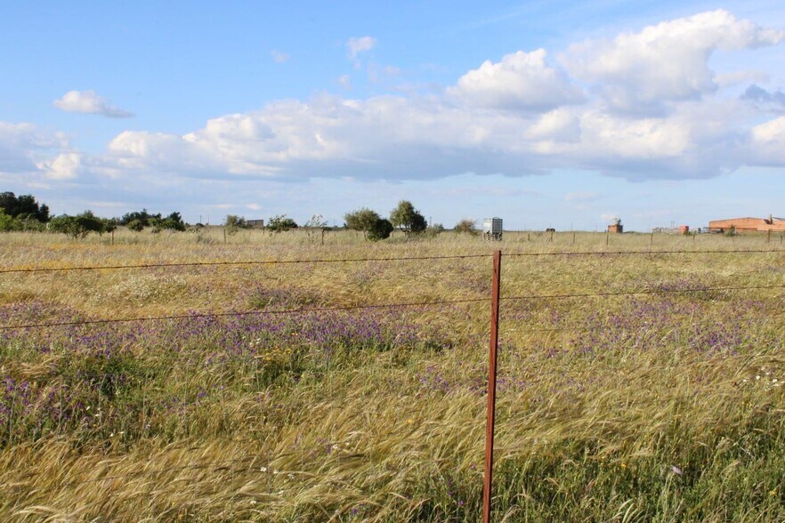 Terreno en Sierra de Fuentes, Cáceres en venta - Foto principal - Imagen 2 de 13