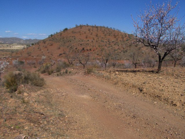 Terreno en Lorca en venta - Plano del sitio - Imagen 2 de 6