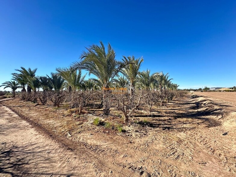 Terreno en Elche, Alicante en venta - Foto principal - Imagen 1 de 4