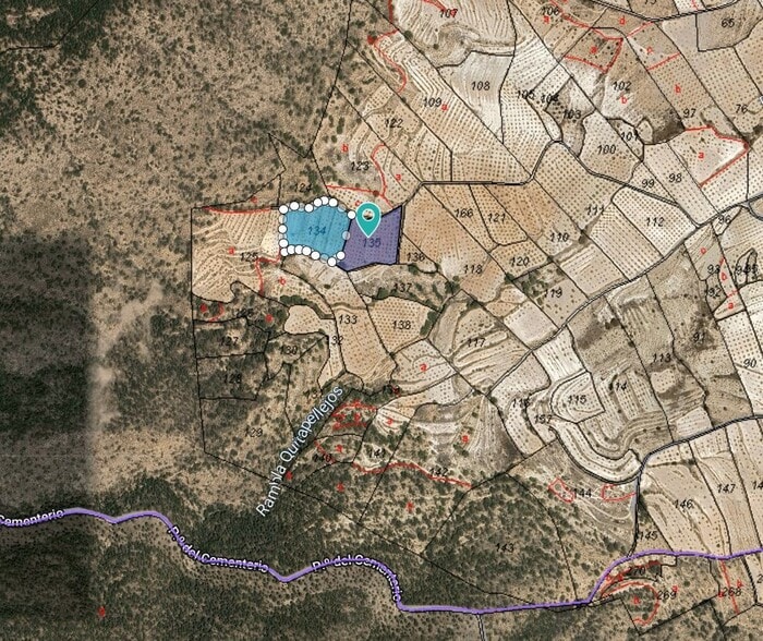 Terreno en Yecla en venta - Foto del edificio - Imagen 3 de 4