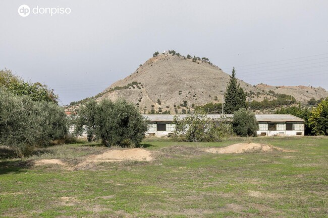 Más detalles de Camino del Albarrate, 6, Atarfe - Terreno en venta