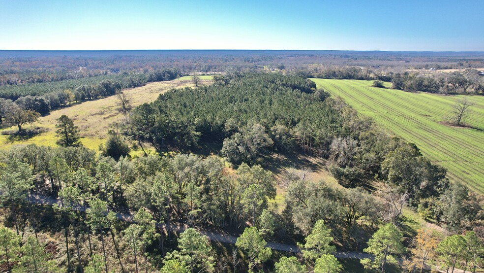 Terreno en Tallahassee, FL en venta - Foto del edificio - Imagen 3 de 9