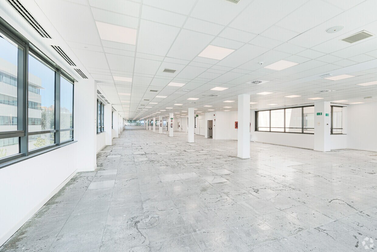 Calle Julián Camarillo, 4 C, Madrid, Madrid en alquiler Foto del interior- Imagen 1 de 3