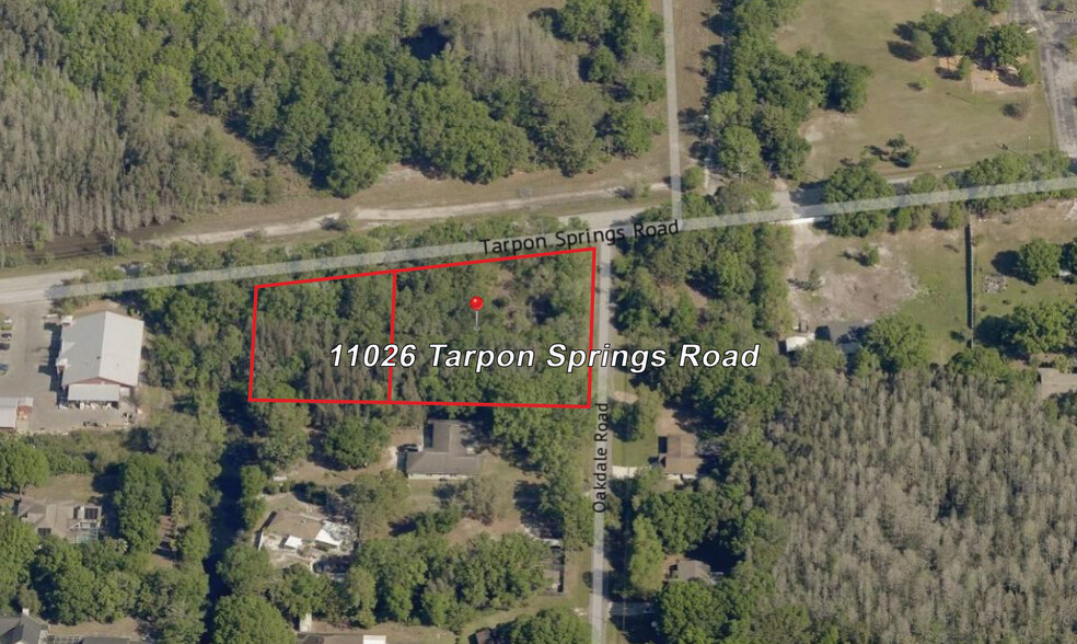 11026 Tarpon Springs Rd, Odessa, FL en venta - Otros - Imagen 1 de 5