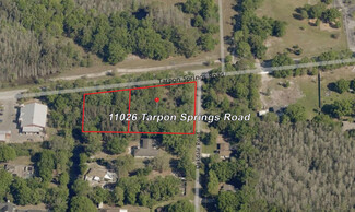 Más detalles para 11026 Tarpon Springs Rd, Odessa, FL - Terrenos en venta