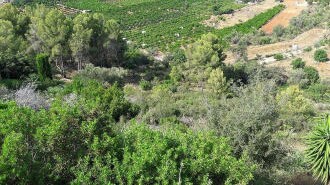 Terreno en Pego en venta - Foto del edificio - Imagen 2 de 10