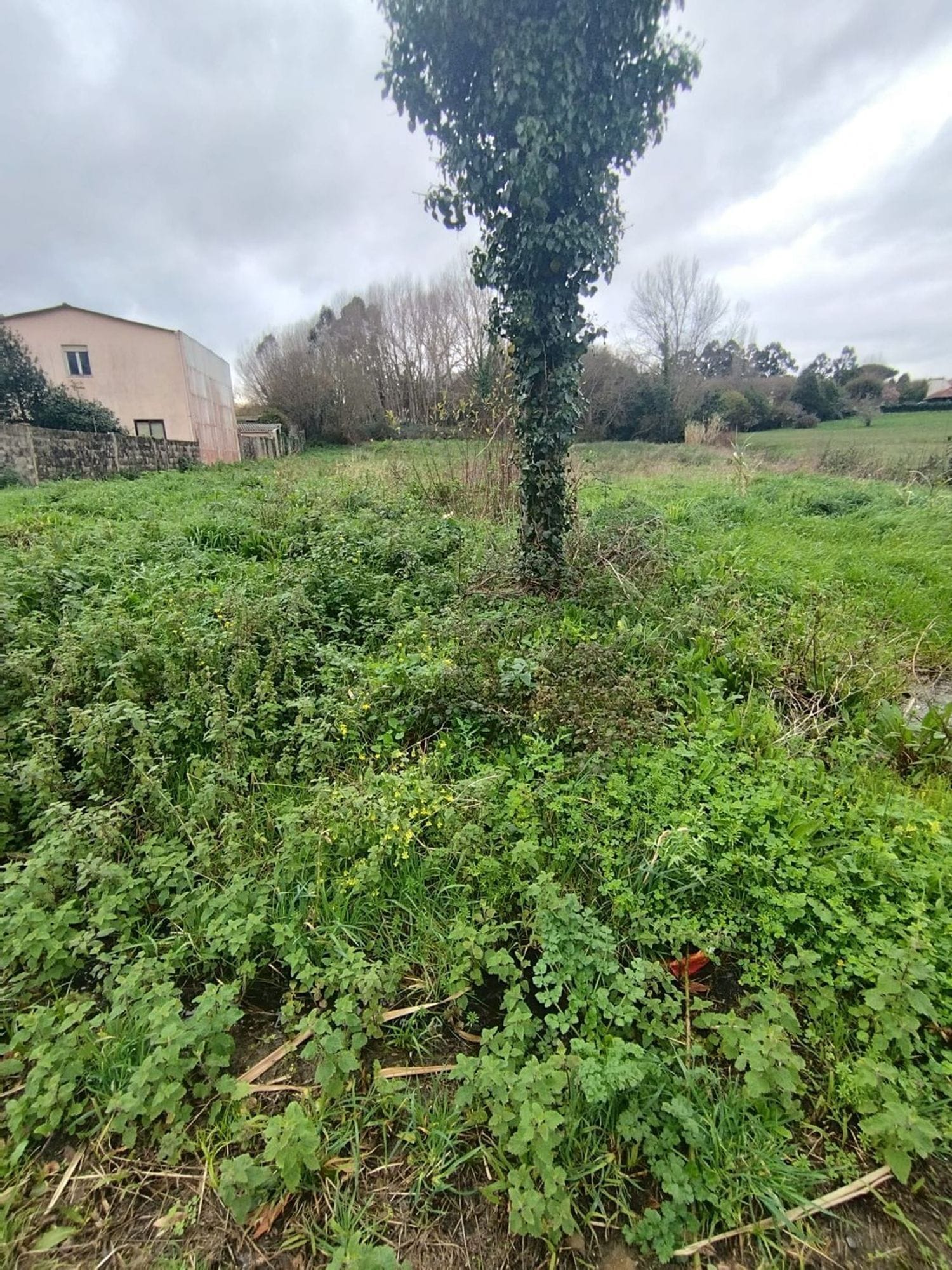 Rúa Praia de Estacas, Ares, La Coruna en venta Plano del sitio- Imagen 1 de 8