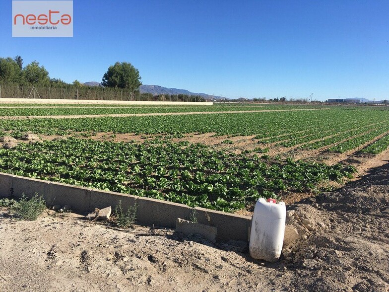 Terreno en Lorca, Murcia en venta - Foto del edificio - Imagen 3 de 4