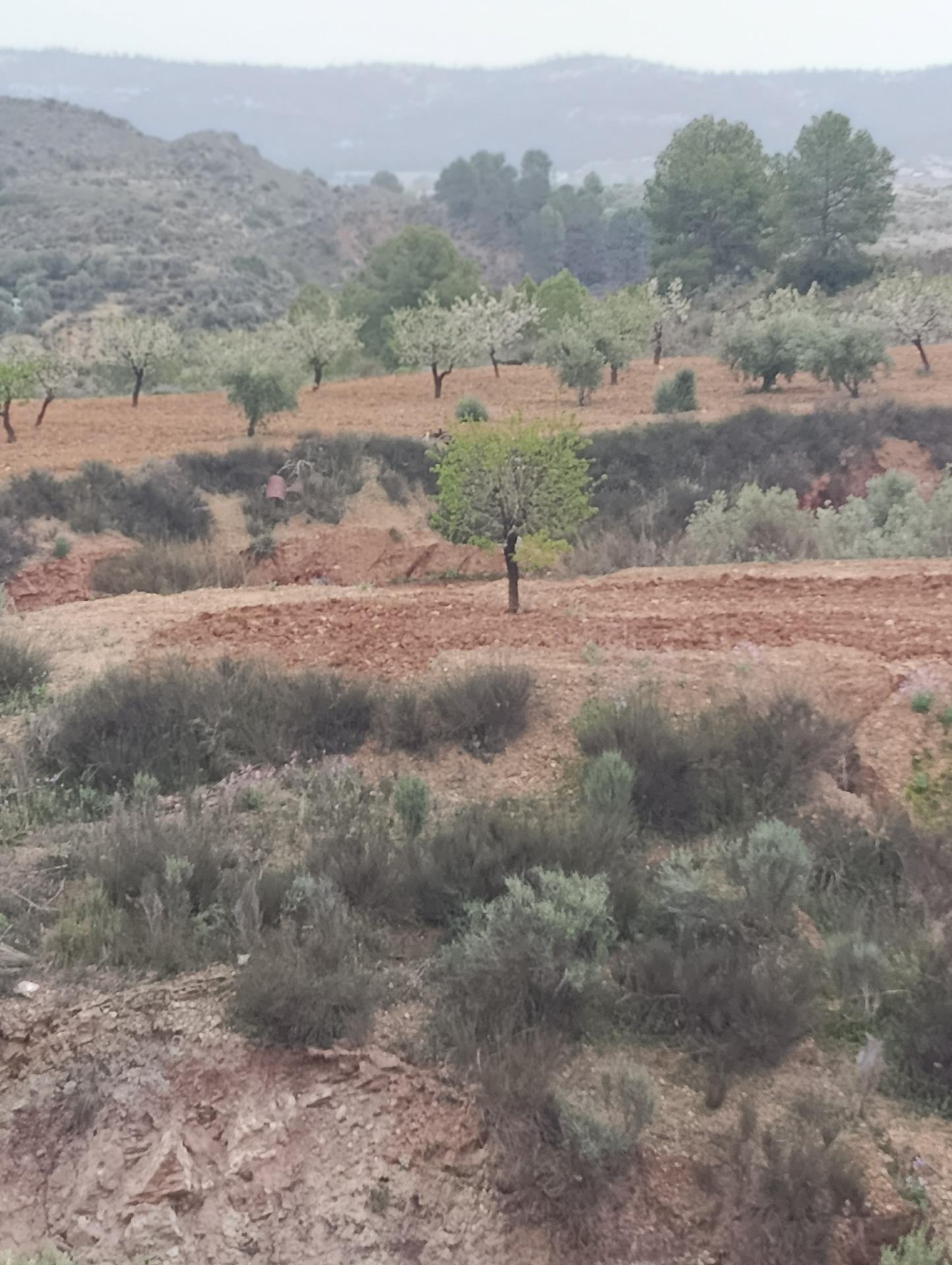 Terreno en Cehegín, Murcia en venta Vista aérea- Imagen 1 de 13
