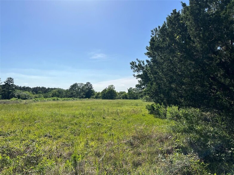 TBD Moonshine Hill Road, Humble, TX en venta - Foto principal - Imagen 3 de 5