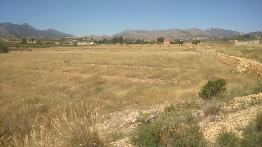 Terreno en Novelda, Alicante en venta Plano del sitio- Imagen 1 de 3