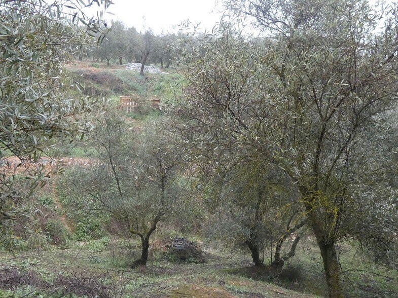 Terreno en Peligros, Granada en venta - Foto del edificio - Imagen 2 de 28
