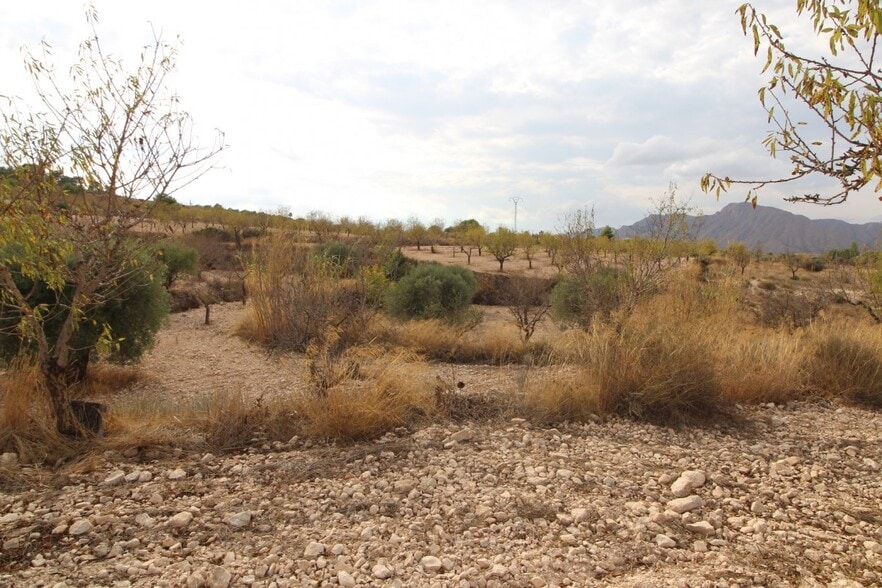 Terreno en Hondón de los Frailes, Alicante en venta - Plano del sitio - Imagen 1 de 2