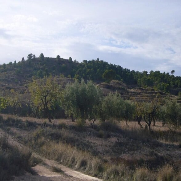 Terreno en Abanilla en venta - Foto del edificio - Imagen 2 de 21