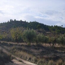 Sin Calle, Abanilla, MUR - AÉREA  vista de mapa - Image1
