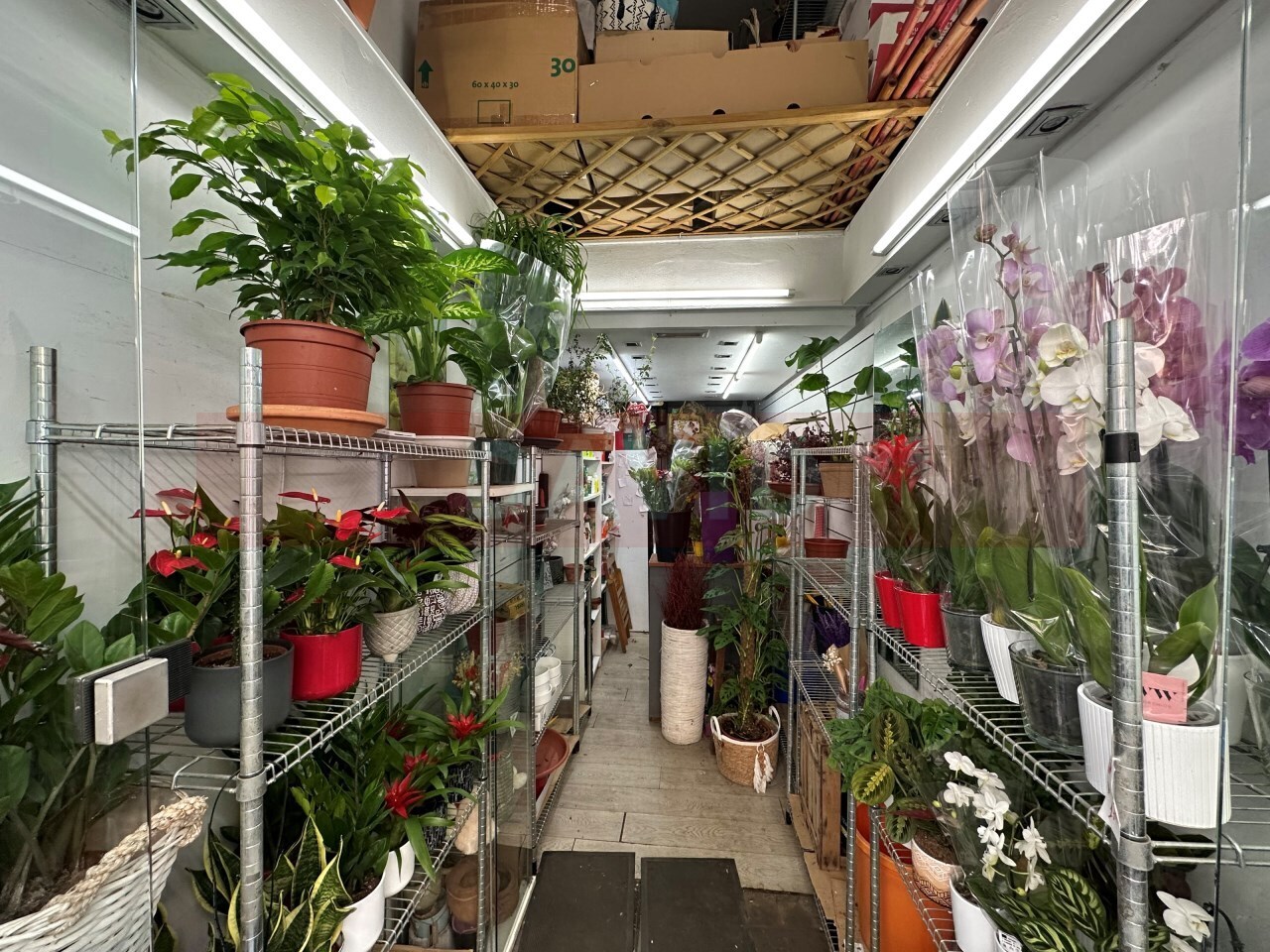 Local en Barcelona, Barcelona en alquiler Foto del interior- Imagen 1 de 9