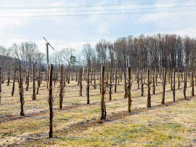 4500 Winery Ln, Barboursville, VA en venta - Foto del edificio - Imagen 2 de 102