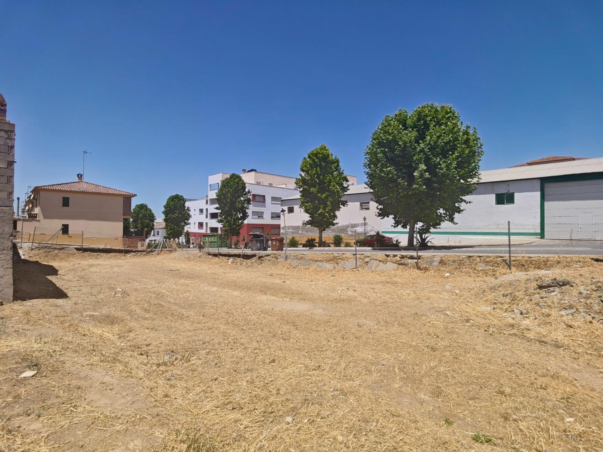 Calle Isaac Newton, 01, Láchar, Granada en venta Foto principal- Imagen 1 de 11