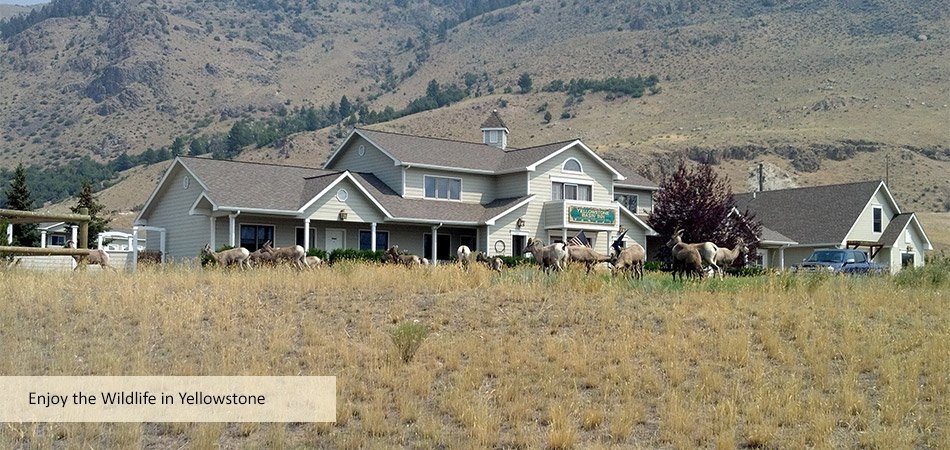 4 Maiden Basin Dr, Gardiner, MT en venta - Foto del edificio - Imagen 3 de 14