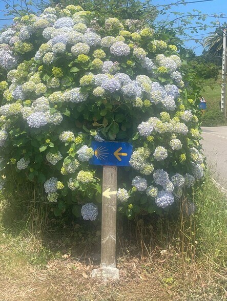 Calle del Soto de Luiña, 23, Cudillero, Asturias en venta - Foto del edificio - Imagen 3 de 3