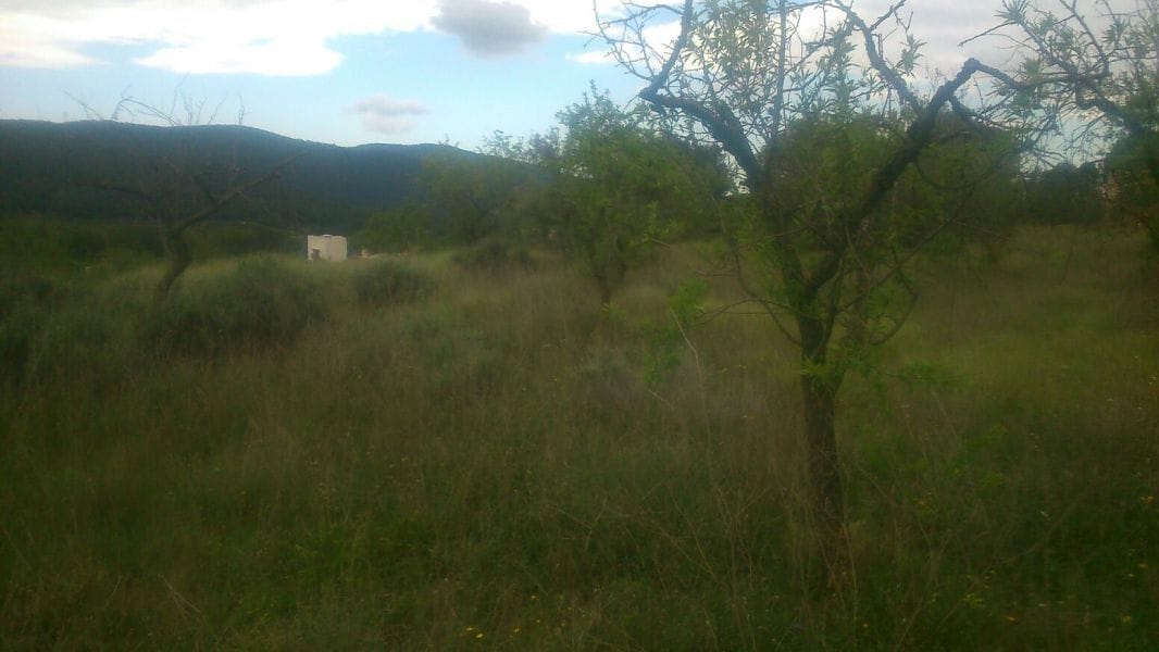 Terreno en TORREMANZANAS, Alicante en venta Plano del sitio- Imagen 1 de 4