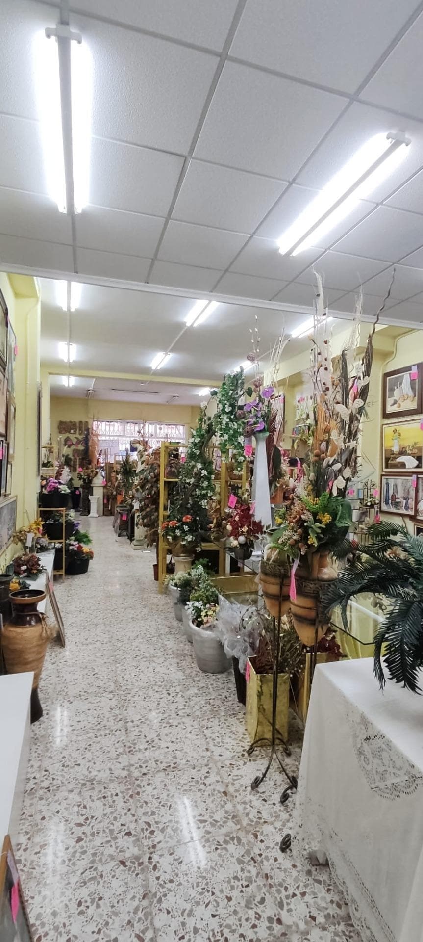 Local en Elche, Alicante en venta Foto del interior- Imagen 1 de 2