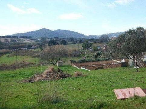 Terreno en Palafolls, Barcelona en venta - Foto del edificio - Imagen 2 de 2