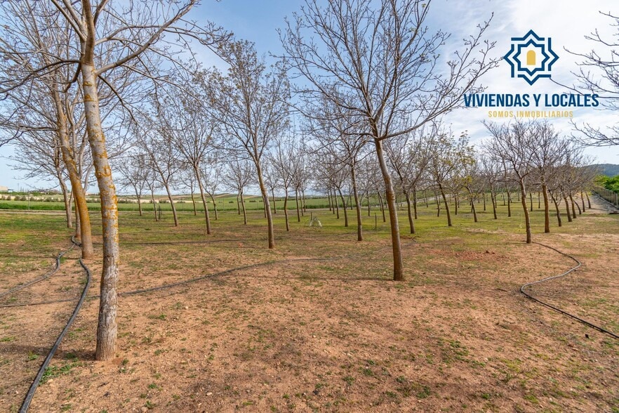 Terreno en Padul, Granada en venta - Foto del edificio - Imagen 3 de 50