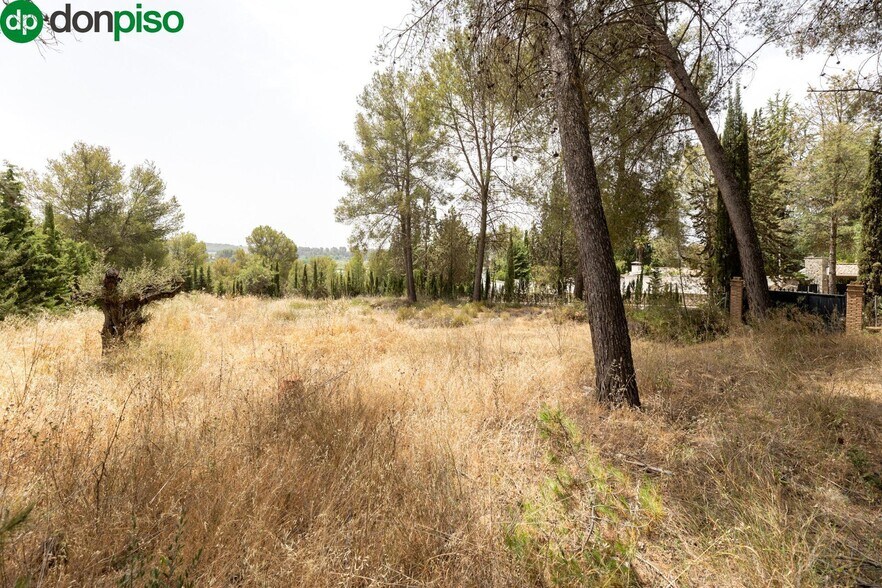 Calle Poetas Populares, Albolote, Granada en venta - Foto del edificio - Imagen 2 de 40