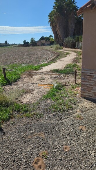 Terreno en Elche, Alicante en venta - Foto principal - Imagen 1 de 7