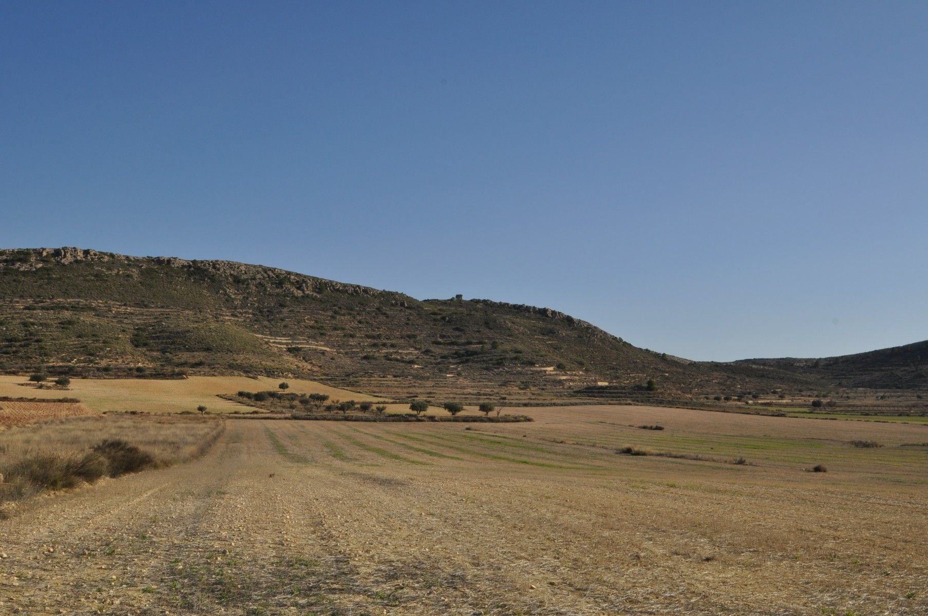 Terreno en Jumilla, Murcia en venta Vista aérea- Imagen 1 de 12
