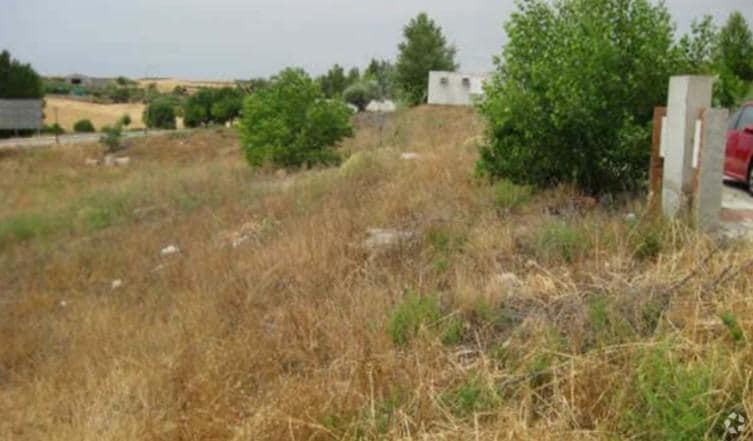 Terreno en Tórtola de Henares, Guadalajara en venta - Foto del edificio - Imagen 3 de 6